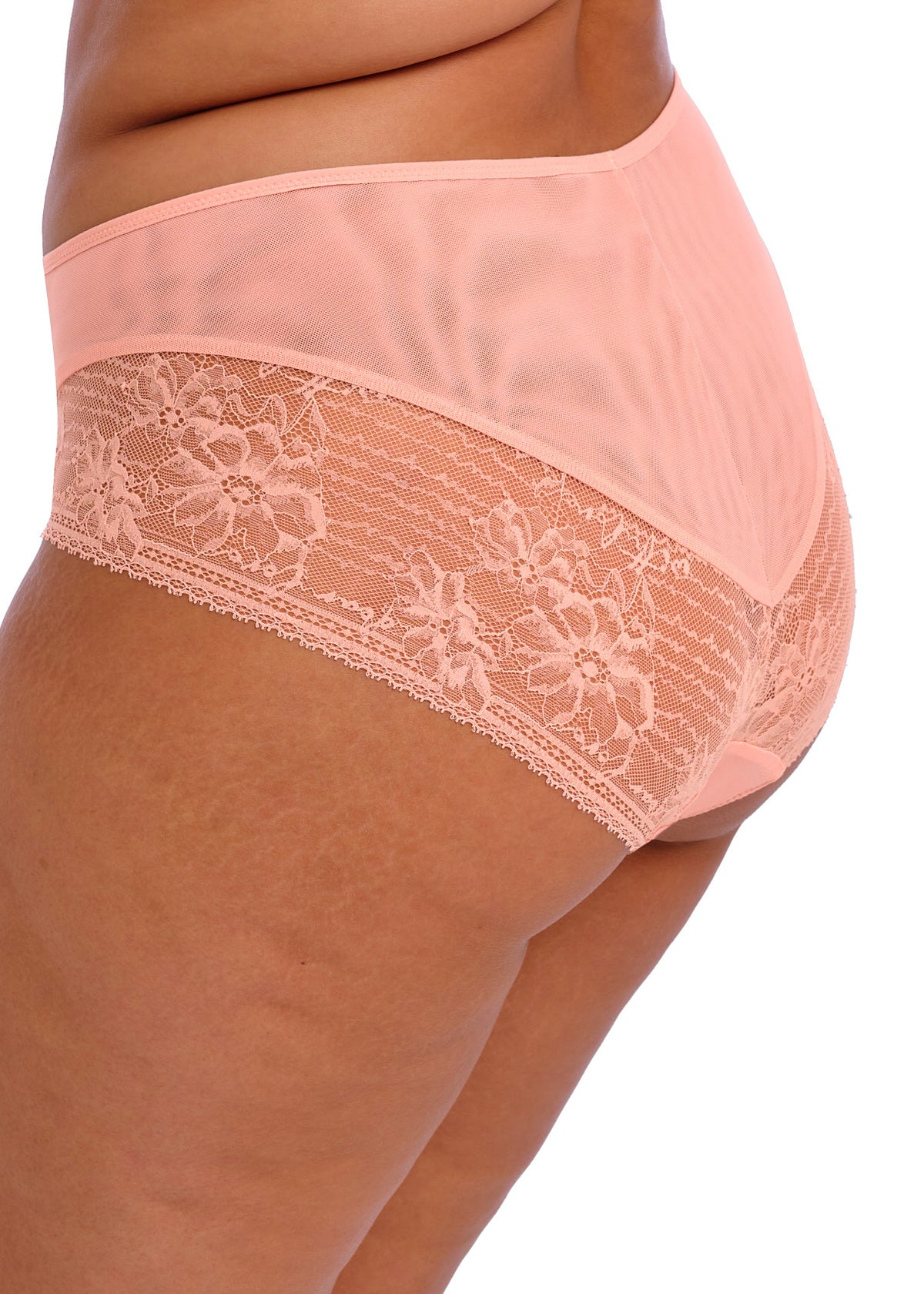 Kendra Full Brief In Rose Bud - Elomi