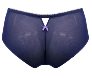 Amour Brazillian Brief In Navy & Lavender - Pour Moi